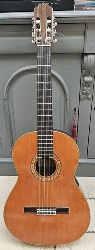 Flameco guitar ricardo sanchis - guitar,