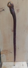 Blackthorn Walking Stick