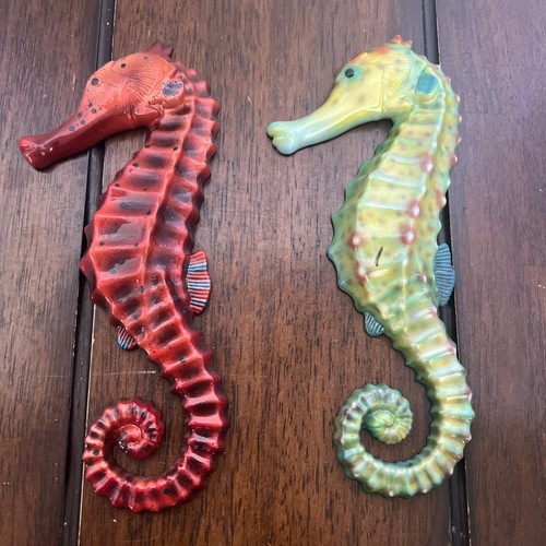 Sea horse tropical - sea,