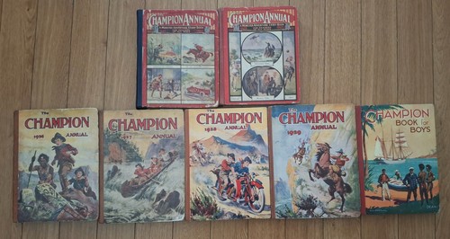 The champion annual 1924 - the,