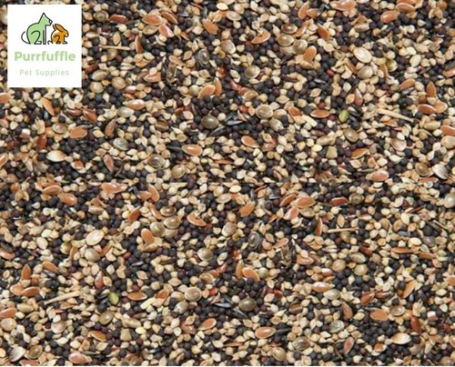 15kg canary finch - canary,