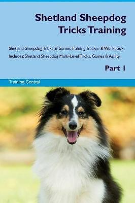 Shetland sheepdog tricks - shetland,