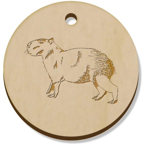 Standing capybara - 'standing, capybara'