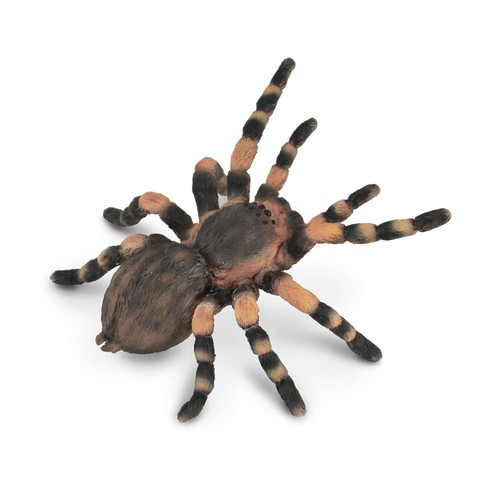 Collecta mexican redknee - collecta,