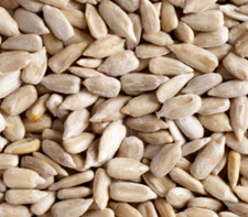 Premium Organic Sunflower