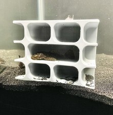 Pleco cave hotel decoration - hotel,