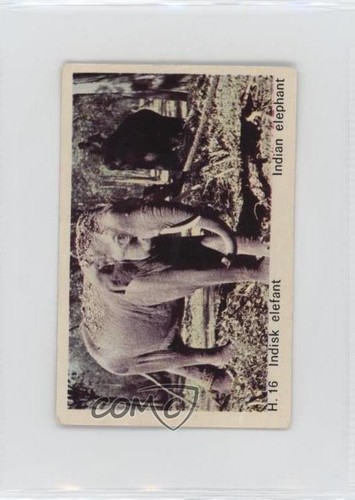 1969 danish dandy - danish,