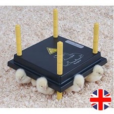 20-25 Chick Rearing Heating