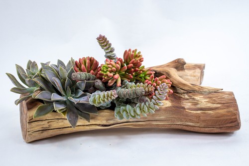 Natural wood planter for - natural,