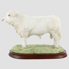 Charolais Bull Large Border
