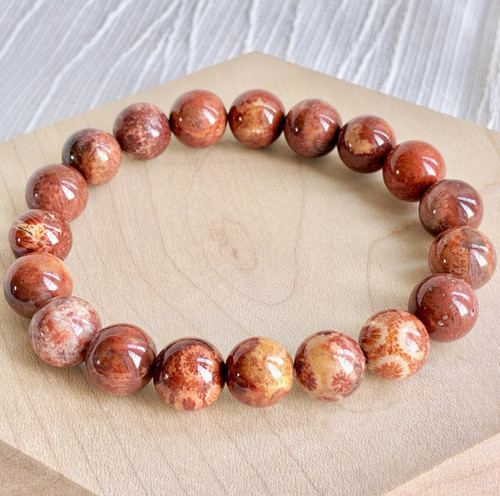 Agatized fossil coral jade - agatized,
