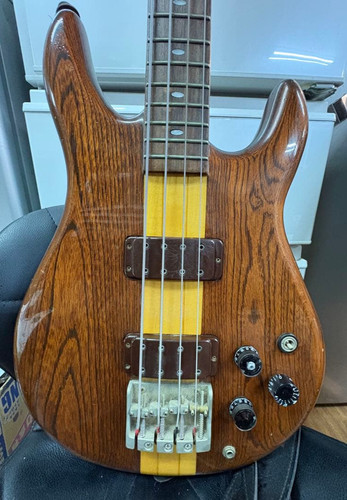 Electric bass guitar - bass,