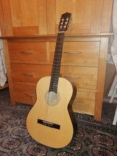 Full Size Acoustic Guitar Elevation  Model 540/6441 (D)