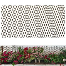 Yard Telescopic Willow
