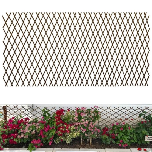 Yard telescopic willow - yard,