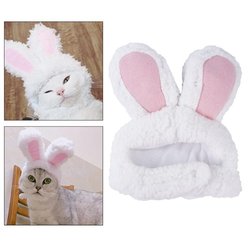 Funny pet costume hat - funny,