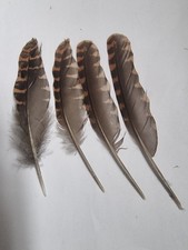 Woodcock Secondary Wings