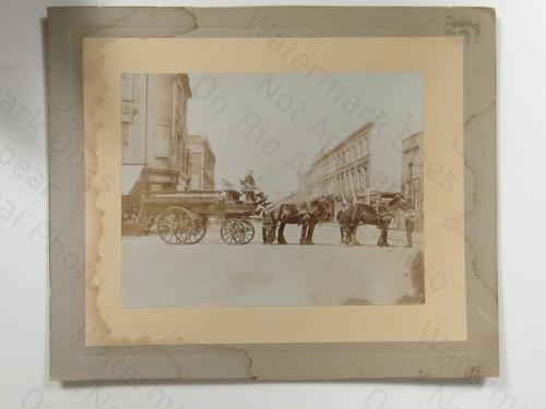 Horse drawn general - horse,