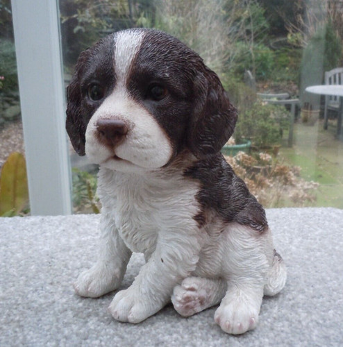 Springer spaniel puppy dog - springer,
