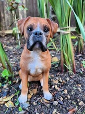 Vivid Arts Boxer Dog - Garden