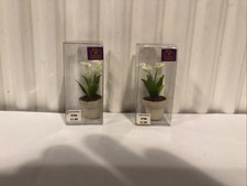 Hickleton Collectors pair of