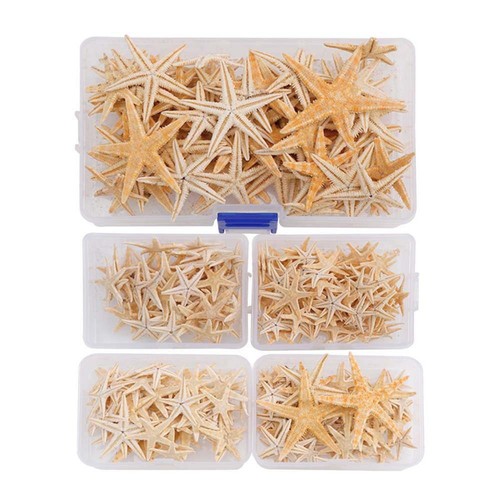 For home decoration craft - decoration,