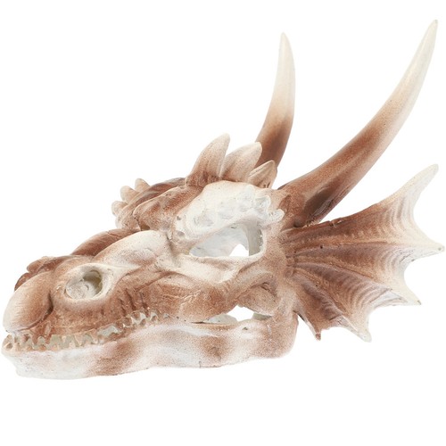 Dinosaur skull ornament - dinosaur, fish