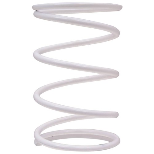 Converter back pressure spring