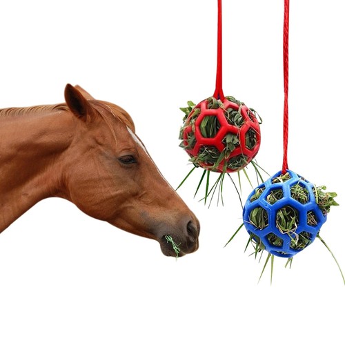 Pack horse treat - 2,