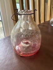 Vintage Clear Glass Fly/Wasp Catcher with Reddish tone embossed insects on side 
