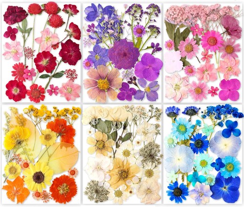 221pcs real nature dried - 221pcs,