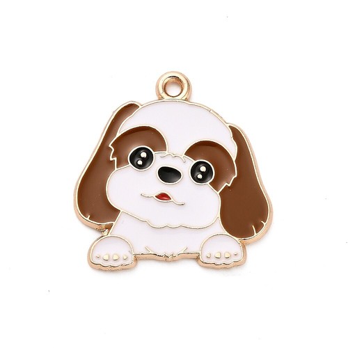 Cute brown white dog - 5,