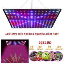 2000W LED Grow Light for