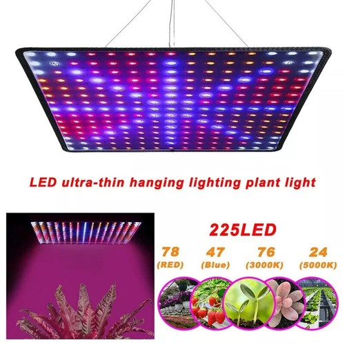 2000w led grow - grow, for