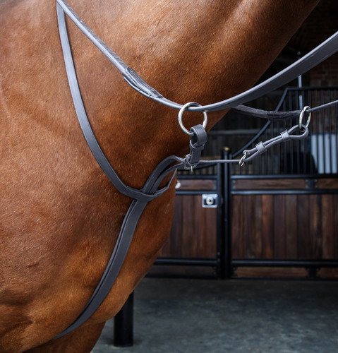 Shires velociti rapida - rapida, running