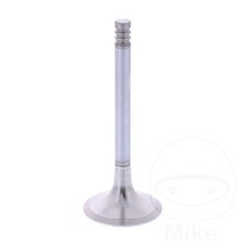 Siebenrock Outlet Valve Fits