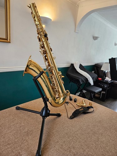 Eastar tenor saxophone - eastar,