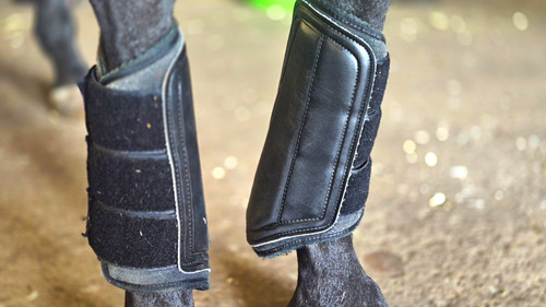 Horse brushing boots - boots, pair