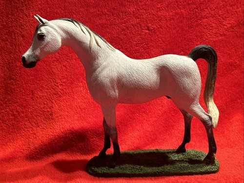 Picture perfect arabian - picture,