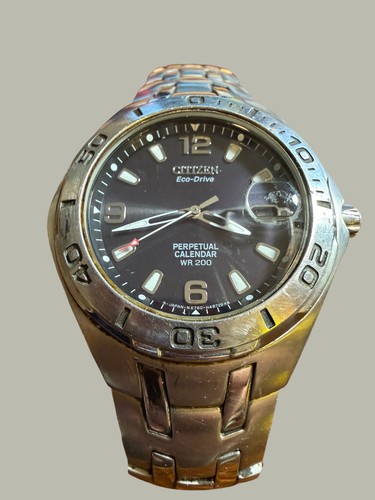Citizen eco drive perpetual - citizen,