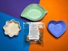 Giant African Land Snail Bowls, Triple Pack with Free Snail Treats 5 pack