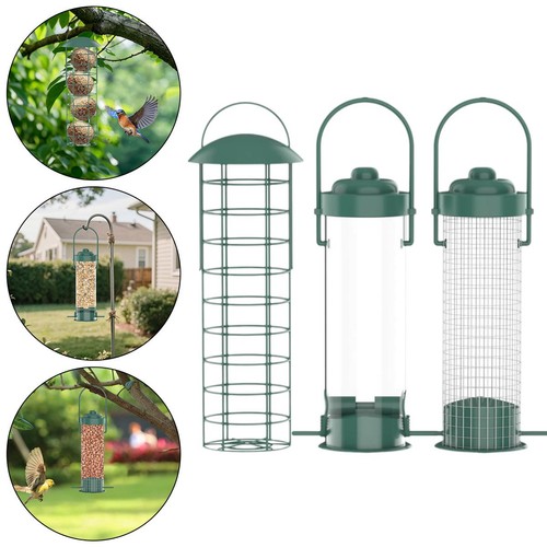 Wild outdoor hanging bird - wild,
