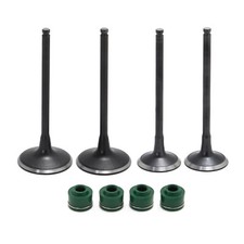 Intake Valve & Exhaust Valve