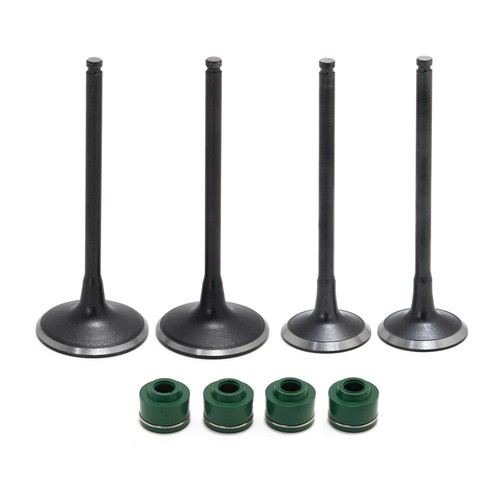 Intake valve exhaust - valve,