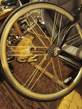 Campagnolo Shamal Rear Wheel