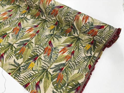 Bird paradise heavy - bird,
