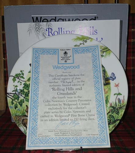 Decorative wedgwood plate - decorative,