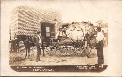 1908 rppc load cabbage - rppc,