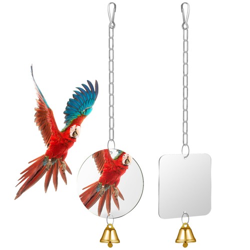 2pcs parrot acrylic - parrot,