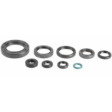 Engine Oil Seal Kit fits Honda